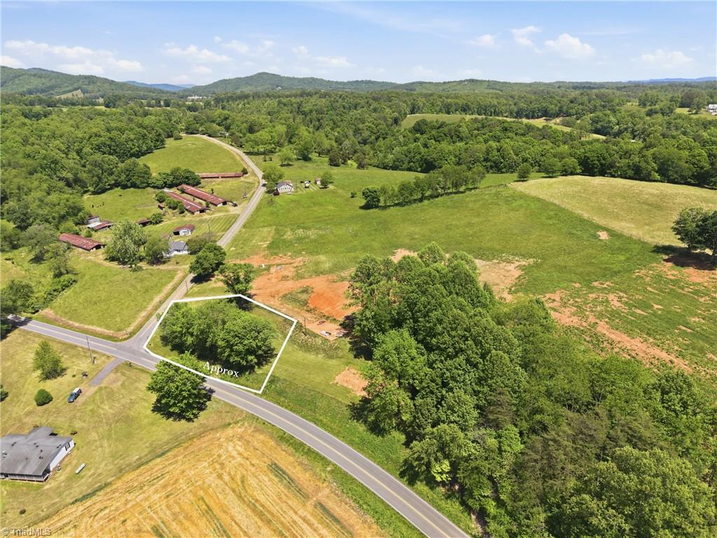 954 Parsonville Road Purlear, NC 28665 - Photo 43 of 45