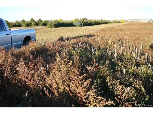 $673,000 | 52 Hwy Wiggins Co 80654, Wiggins, CO 80654