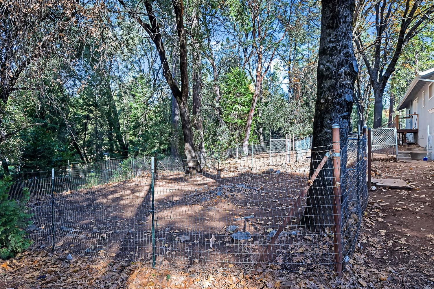 19475 Murphy Road Pine Grove, CA 95665 - Photo 25 of 46