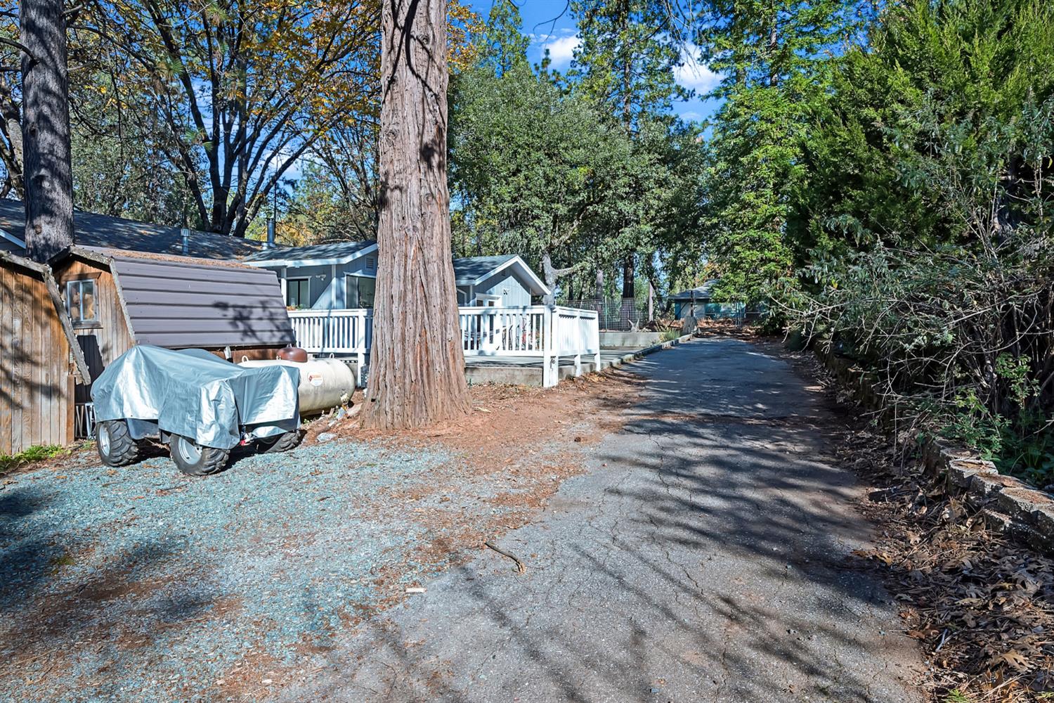 19475 Murphy Road Pine Grove, CA 95665 - Photo 27 of 46