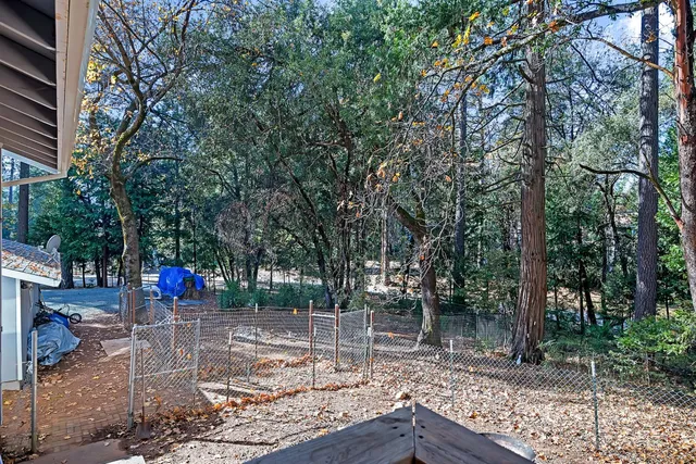 a view of a park with large trees