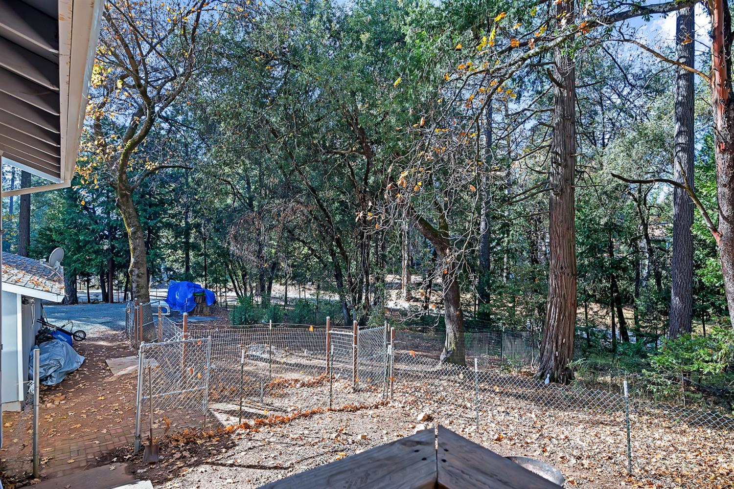 19475 Murphy Road Pine Grove, CA 95665 - Photo 31 of 46