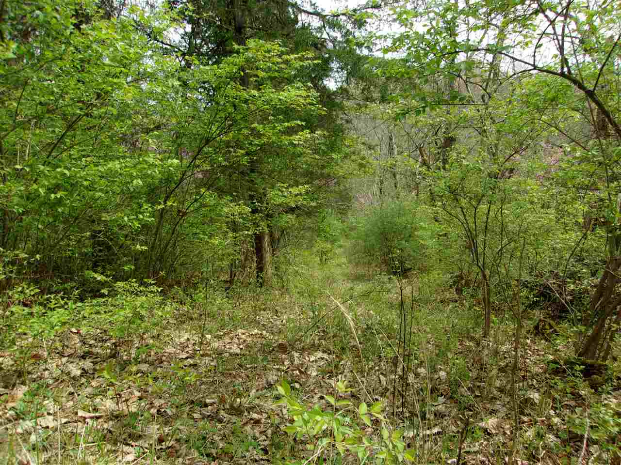 2473 Salem Ridge Road Brooksville, KY 41004 - Photo 17 of 48 Gallery Image 17
