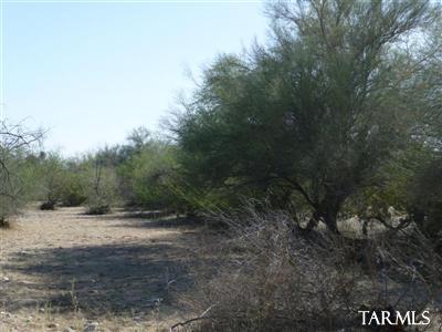 0 East Derrio Canyon Road Marana, AZ 85658 - Photo 8 of 11