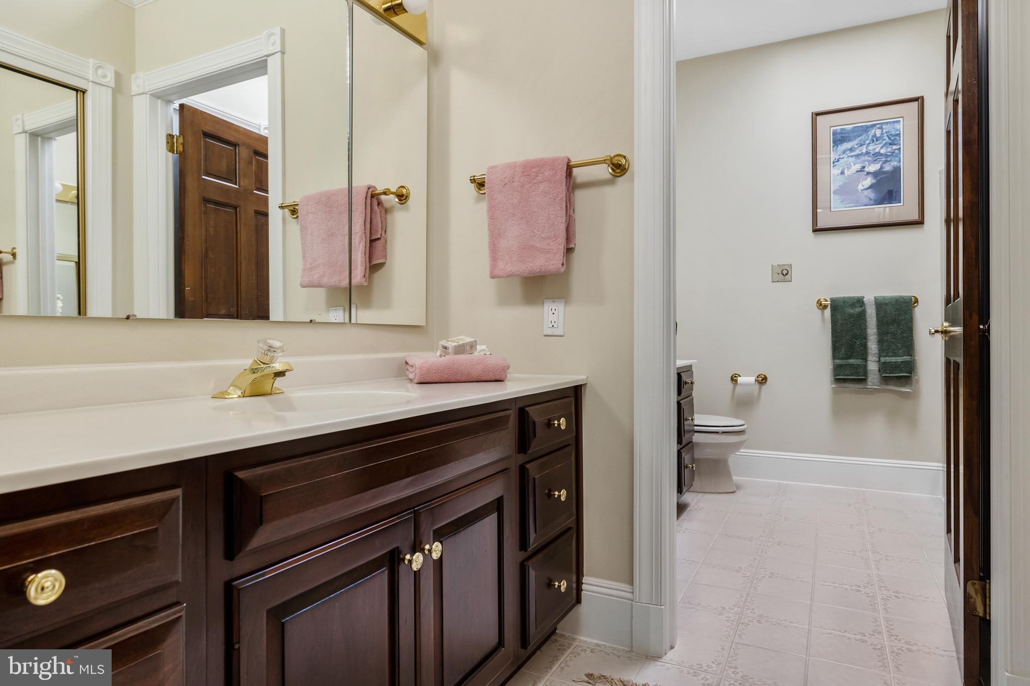 2 Leatherleaf Court Medford, NJ 08055 - Photo 33 of 51 Hall Full Bath with Separate Vanity