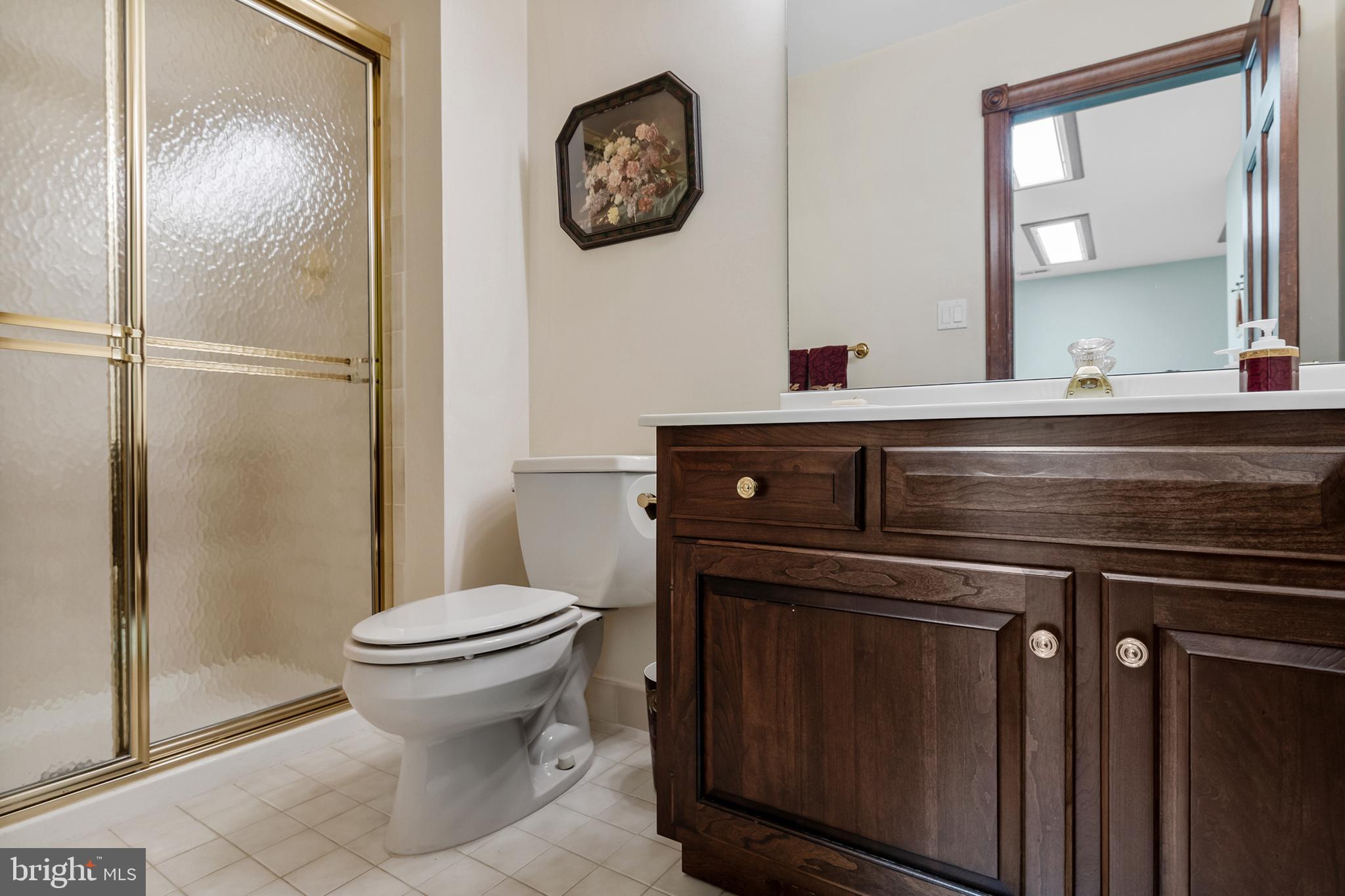 2 Leatherleaf Court Medford, NJ 08055 - Photo 39 of 51 Basement Full Bath