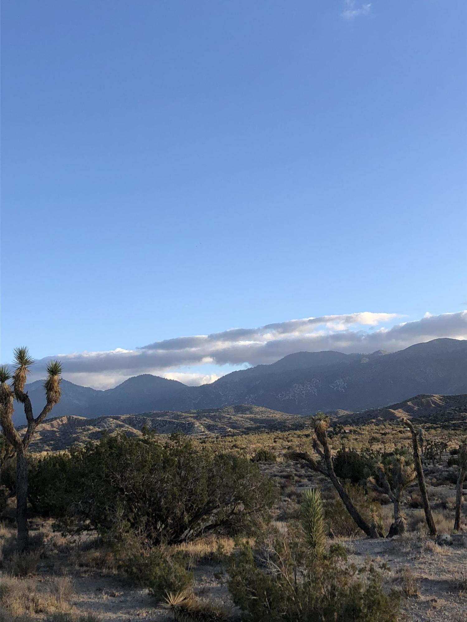 195th St/turkey Ranch Road Llano, CA 93544 - Photo 1 of 1 IMG_0121