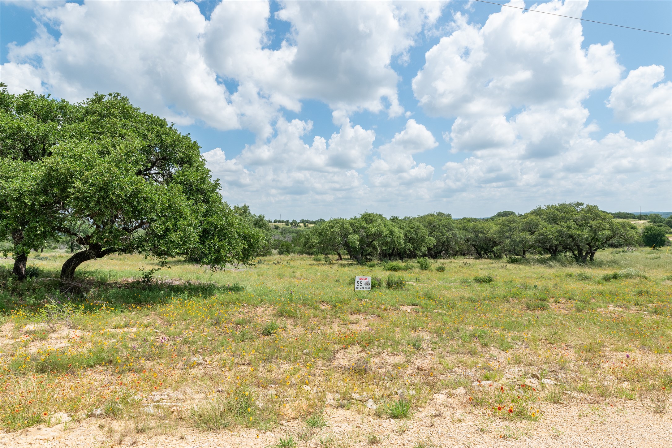 140 Longview Lane Cherokee, TX 76832 - Photo 7 of 8 Cultivate your dreams on this expansive, tree-dotted vacant lot, perfect for a custom home.