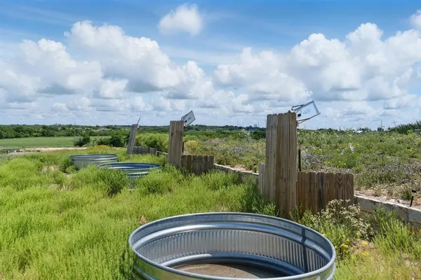 a view of a garden with a fountain
