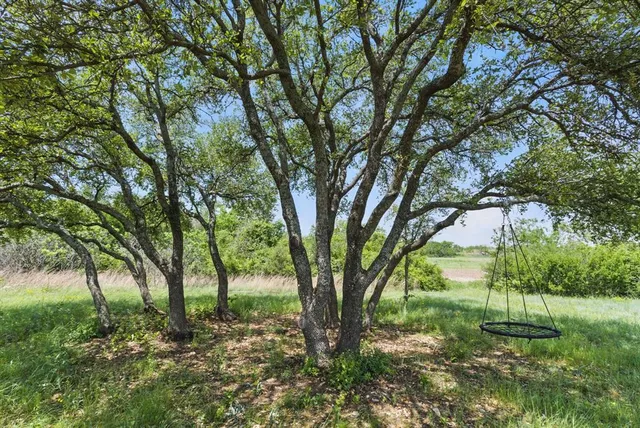 a view of backyard with green space