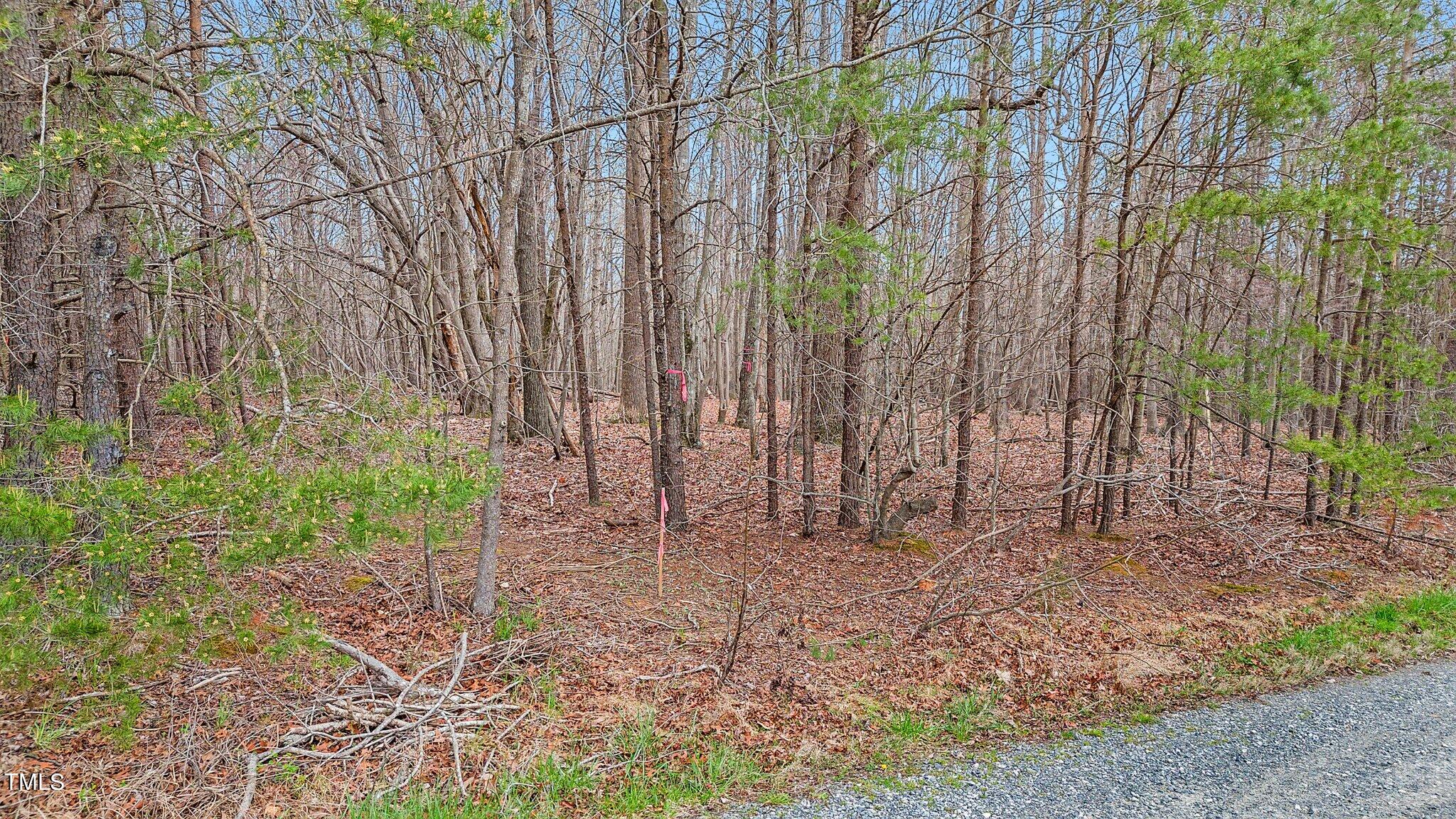 9 Mrs Fuller Road Mebane, NC 27302 - Photo 3 of 8 15-web-or-mls-lot-9-mrs-fuller-rd