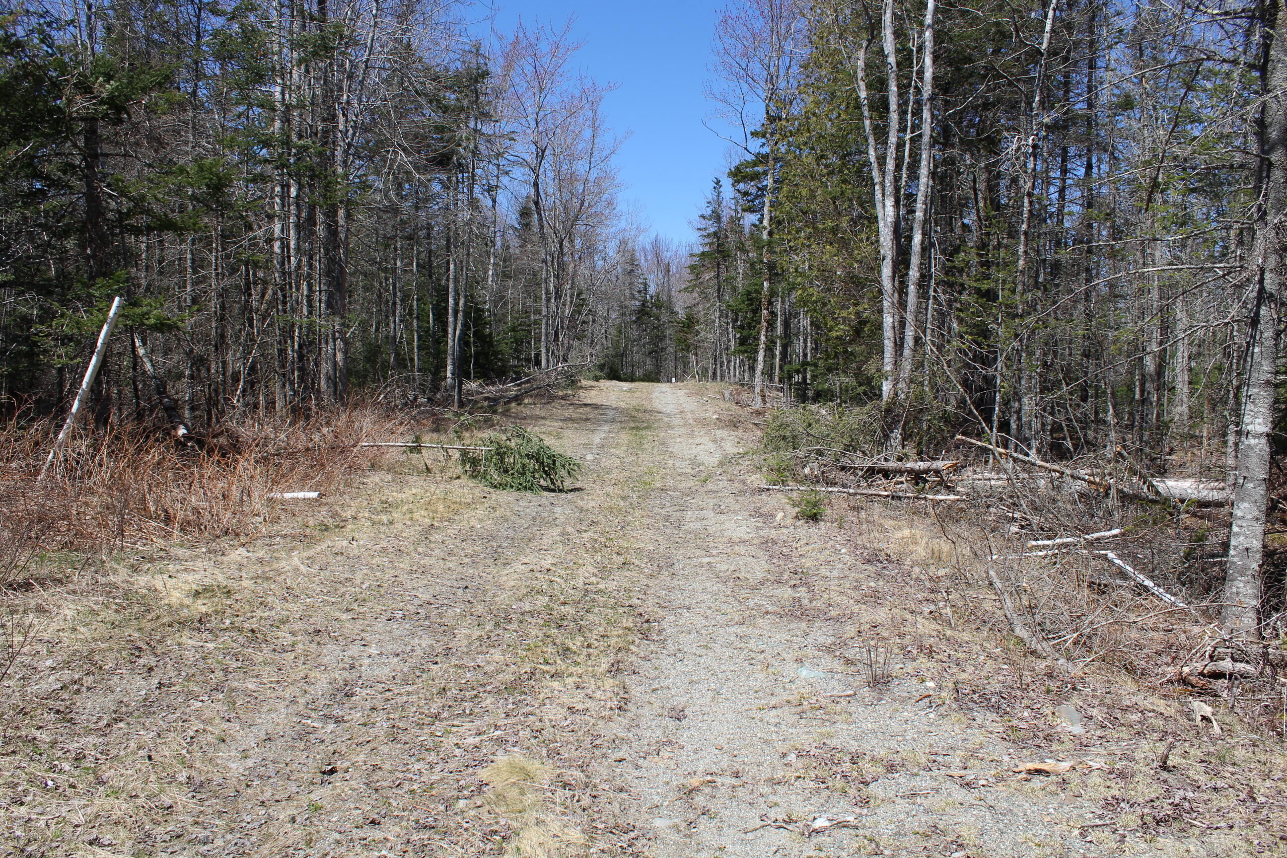 182 Franklin Road Hancock, ME 04640 - Photo 15 of 39 15. Road to Well