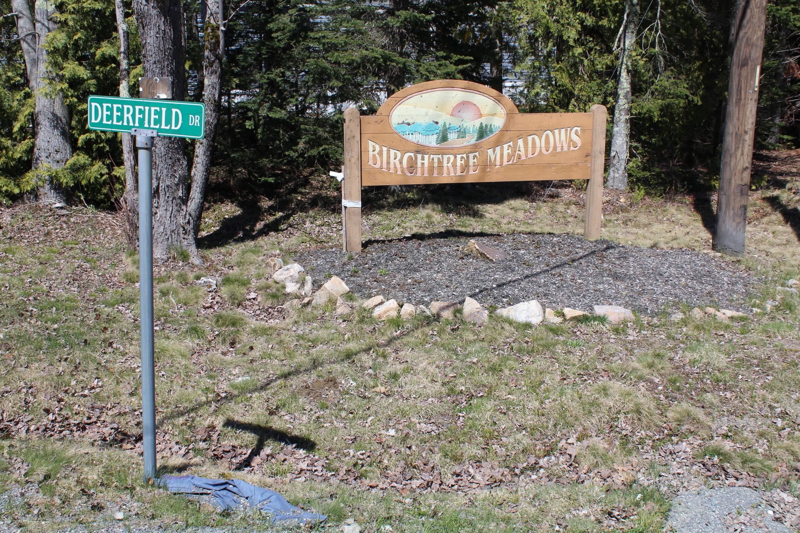 182 Franklin Road Hancock, ME 04640 - Photo 18 of 39 18. Birchtree Meadows