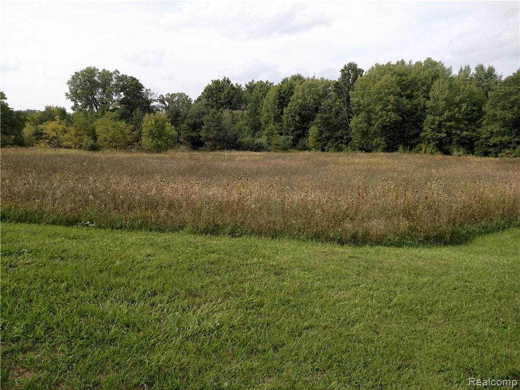 6200 Willits Road Fostoria, MI 48435 - Photo 26 of 37 Huge Open Area great for Horses!