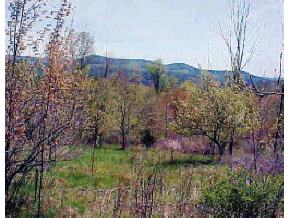 0 Baltimore Road Springfield, VT 05156 - Photo 1 of 1