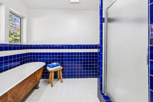 view of a bunch of trees and bushes