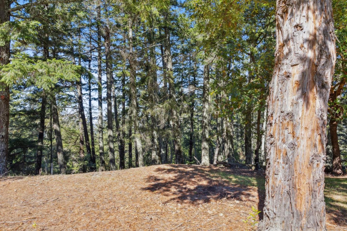 24595 Skyland Road Los Gatos, CA 95033 - Photo 55 of 68