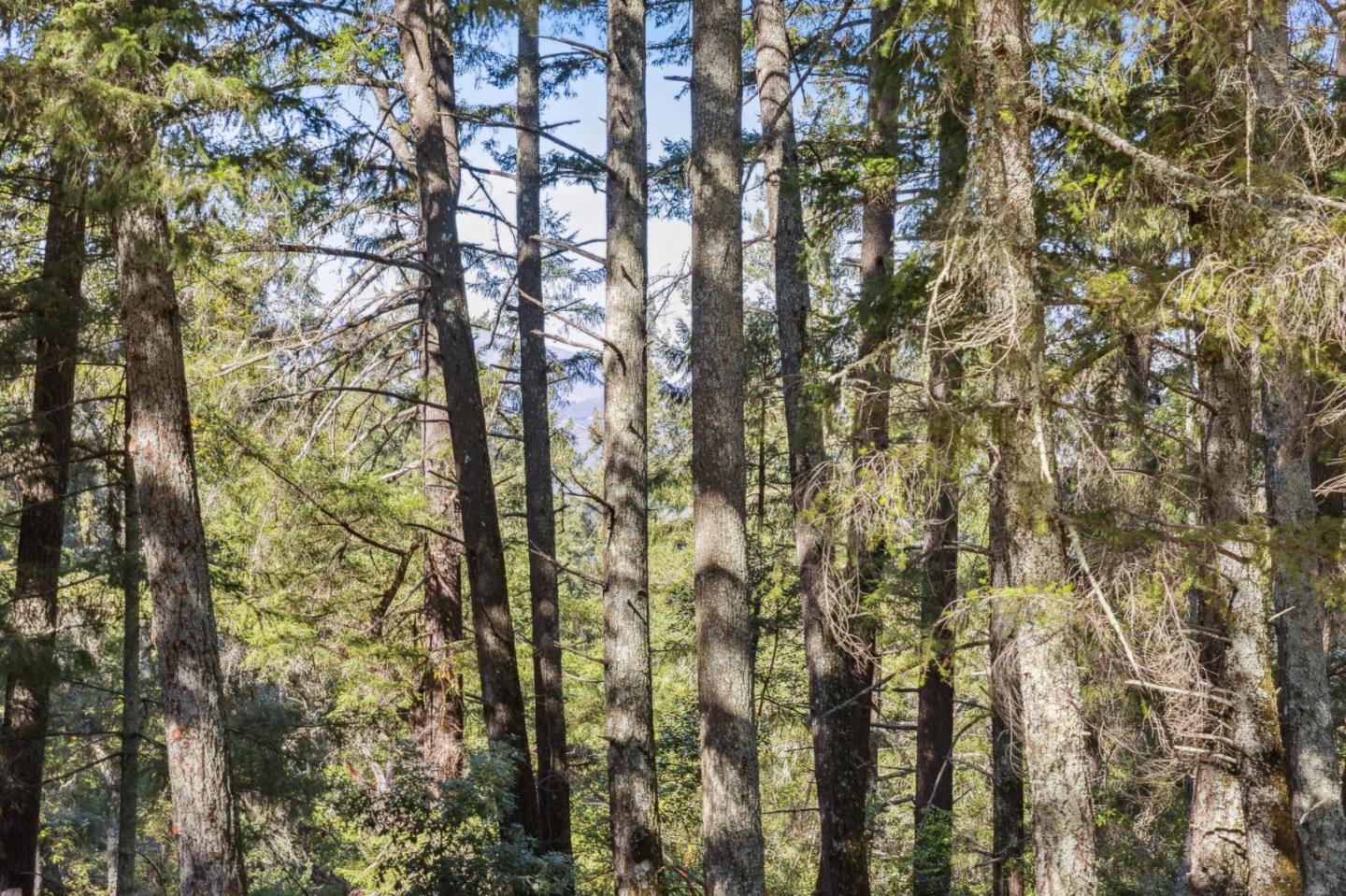 24595 Skyland Road Los Gatos, CA 95033 - Photo 56 of 68