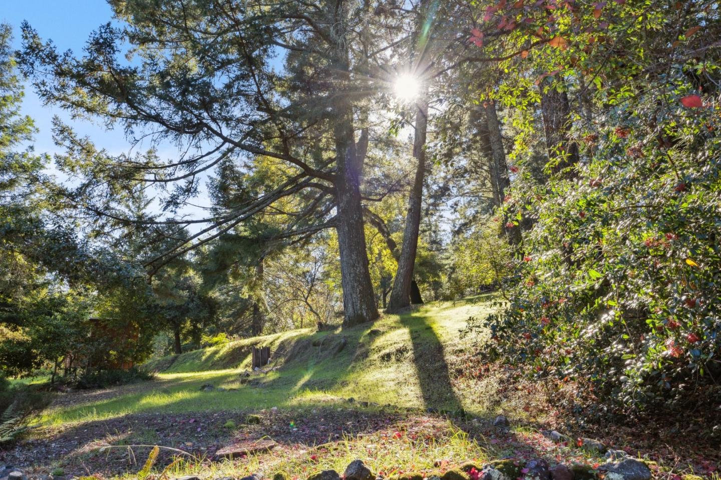 24595 Skyland Road Los Gatos, CA 95033 - Photo 64 of 68