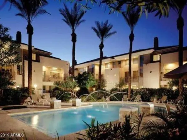 a view of a swimming pool with a couch and plants