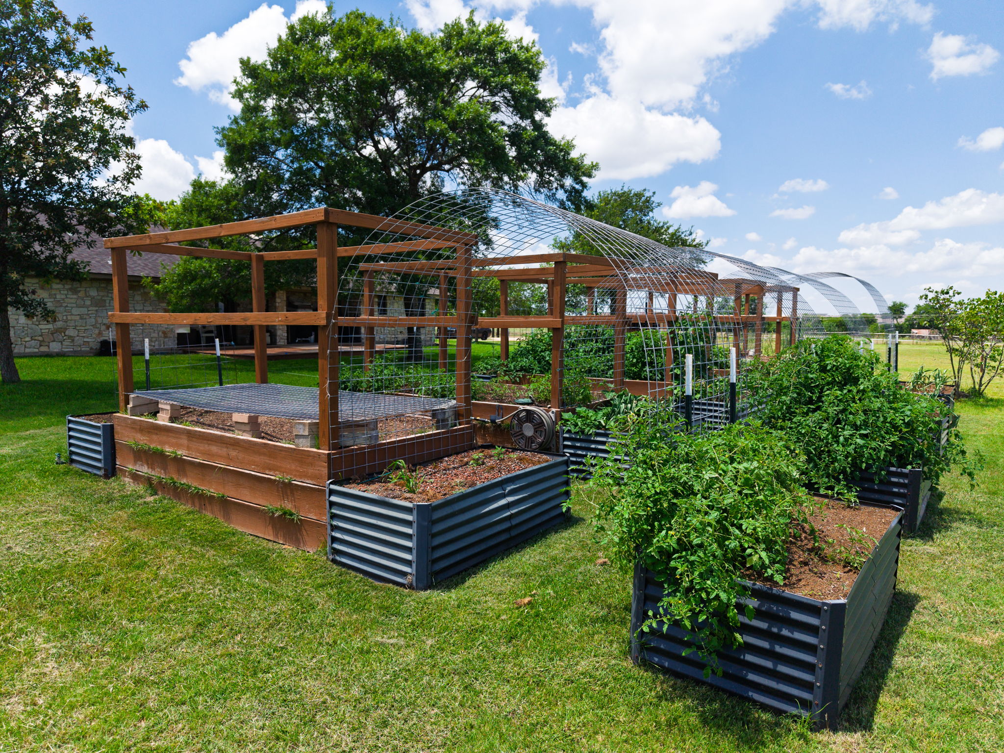 120 Rae Lane Jarrell, TX 76537 - Photo 22 of 40 Expansive garden area featuring multiple raised beds with established plantings