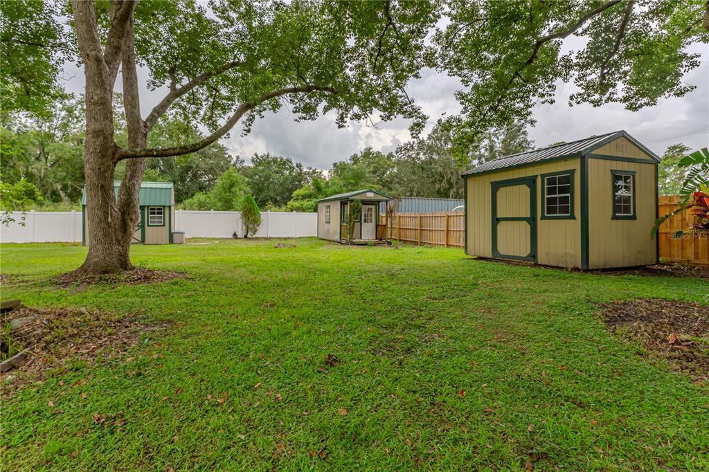 9349 Edison Road Lithia, FL 33547 - Photo 6 of 27 a view of a house with a backyard