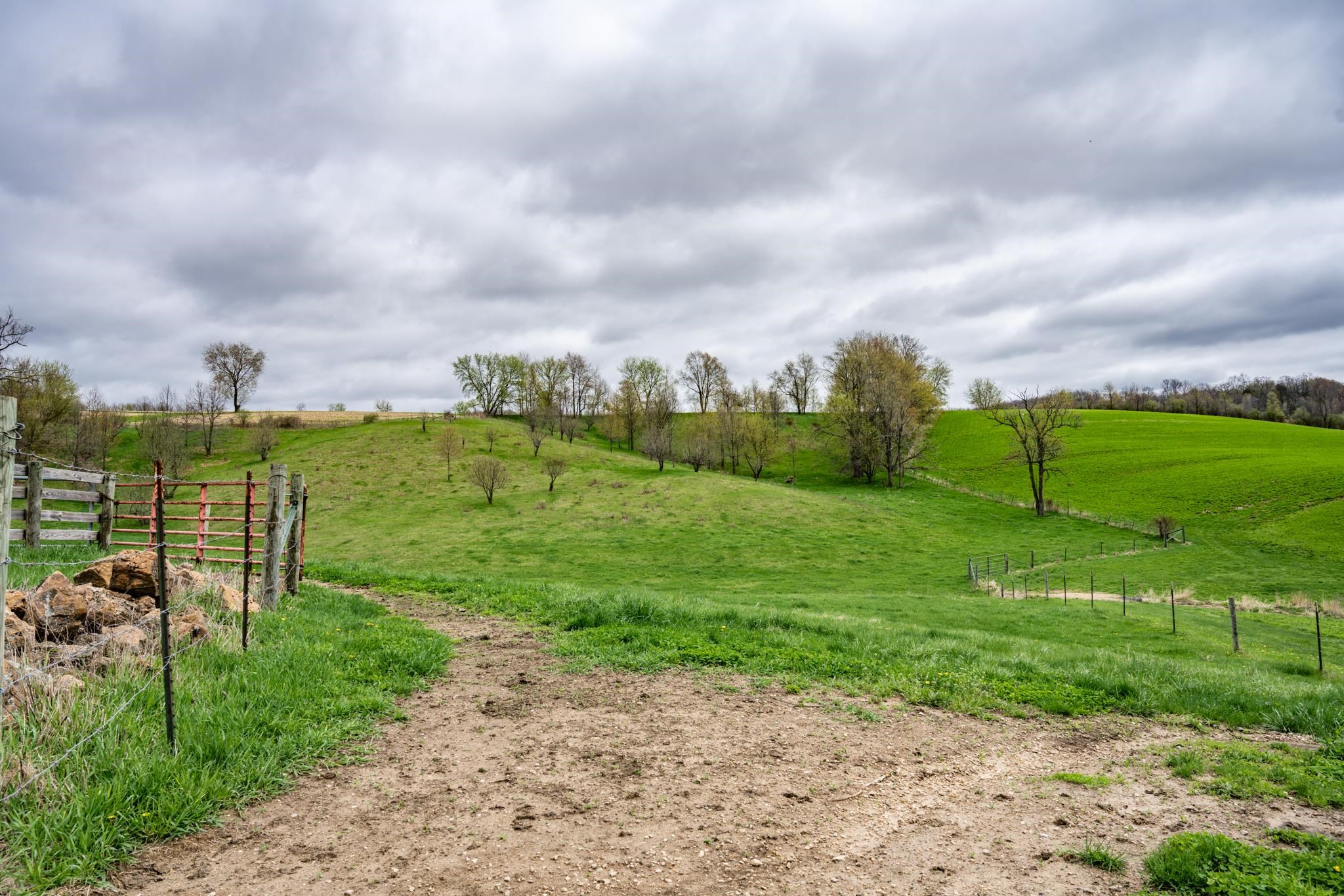 N1570 County Rd I Wonewoc, WI 53968 - Photo 42 of 49