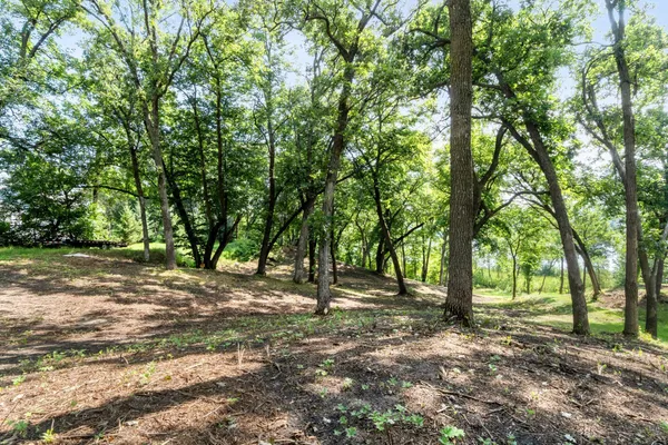 $279,000 | 4033 Rosewood Lane Southeast, Alexandria, MN 56308