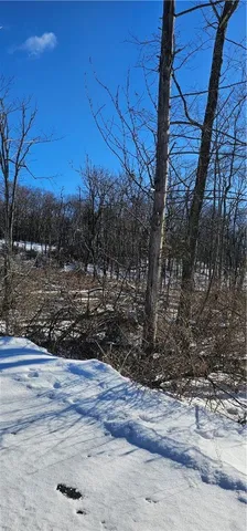 $36,000 | 842 Larchmont Road, Elmira, NY 14905