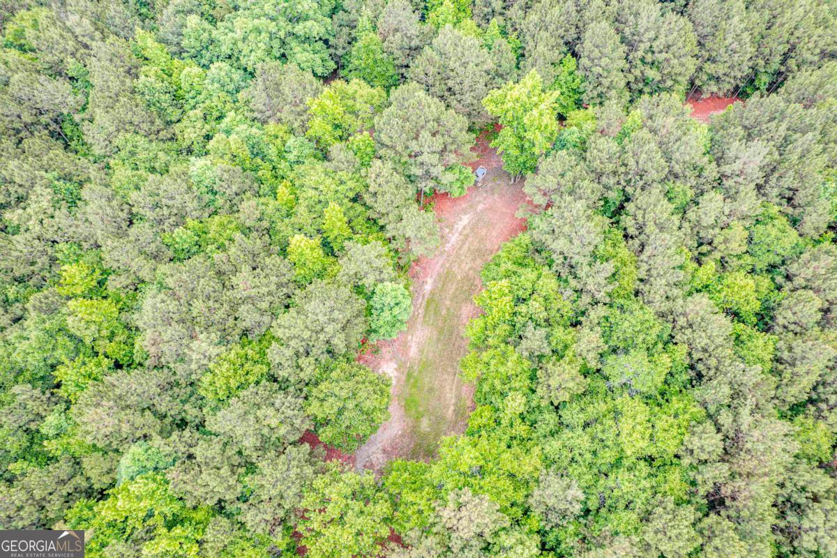 0 Pear Orchard Road Greensboro, GA 30642 - Photo 25 of 34