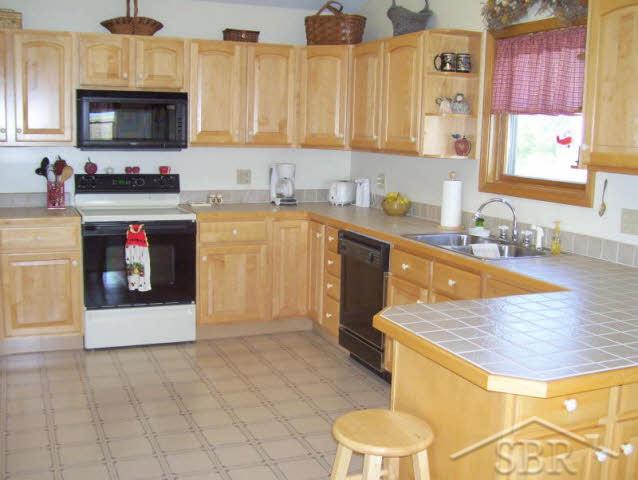 580 North Dehmel Road Reese, MI 48757 - Photo 9 of 10 20034211-8.JPG