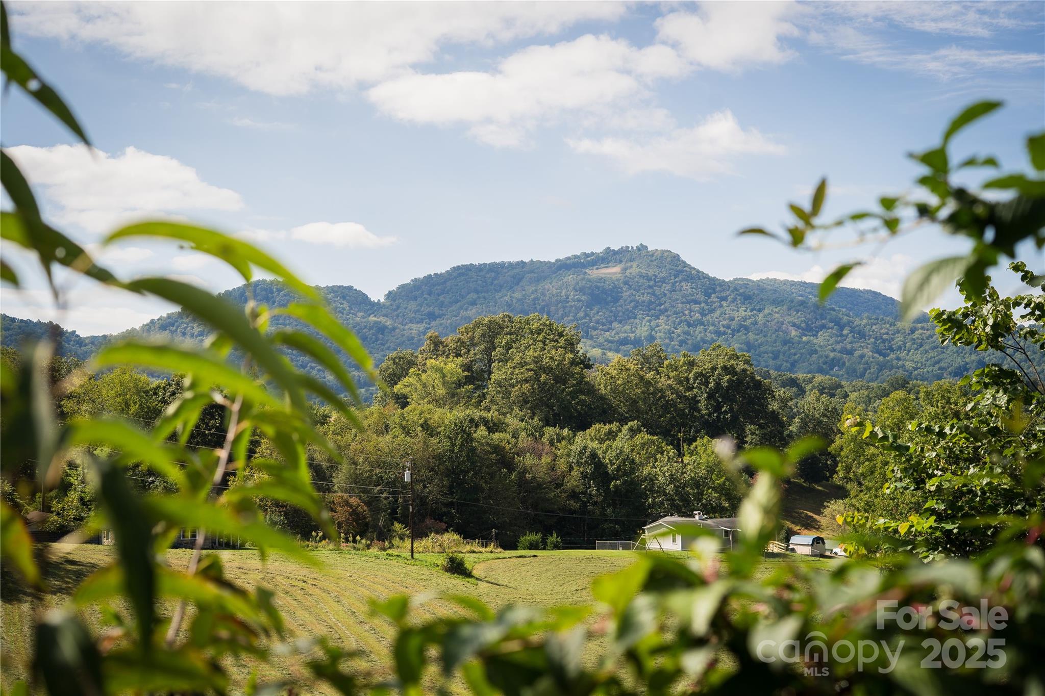 112 Melody Street Clyde, NC 28721 - Photo 20 of 47 a view of a bunch of flowers