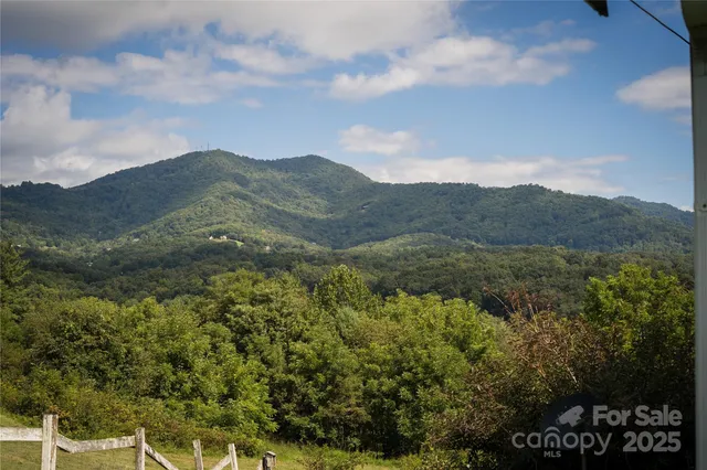 an aerial view of houses covered in trees
