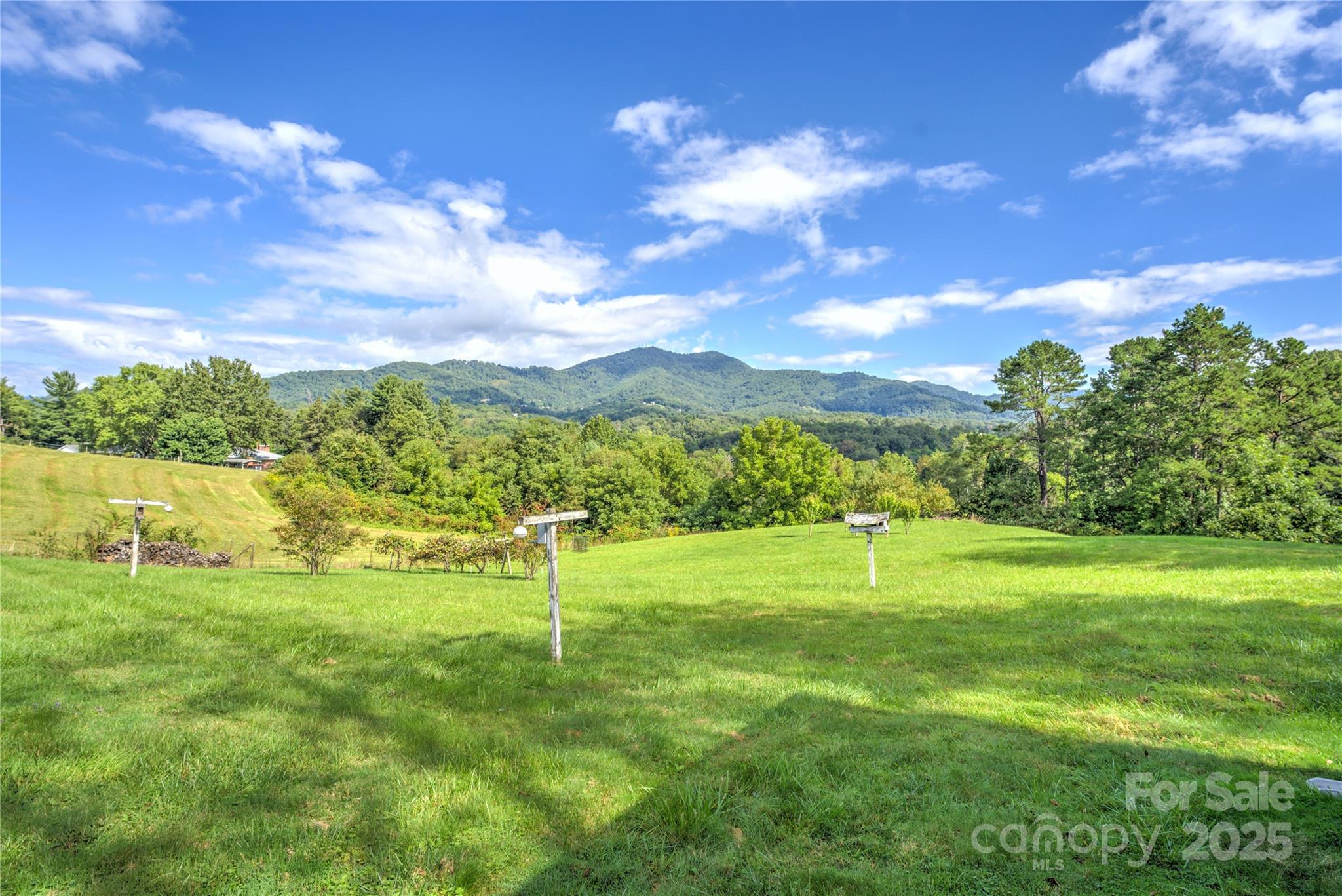 112 Melody Street Clyde, NC 28721 - Photo 30 of 47 a view of an outdoor space and yard