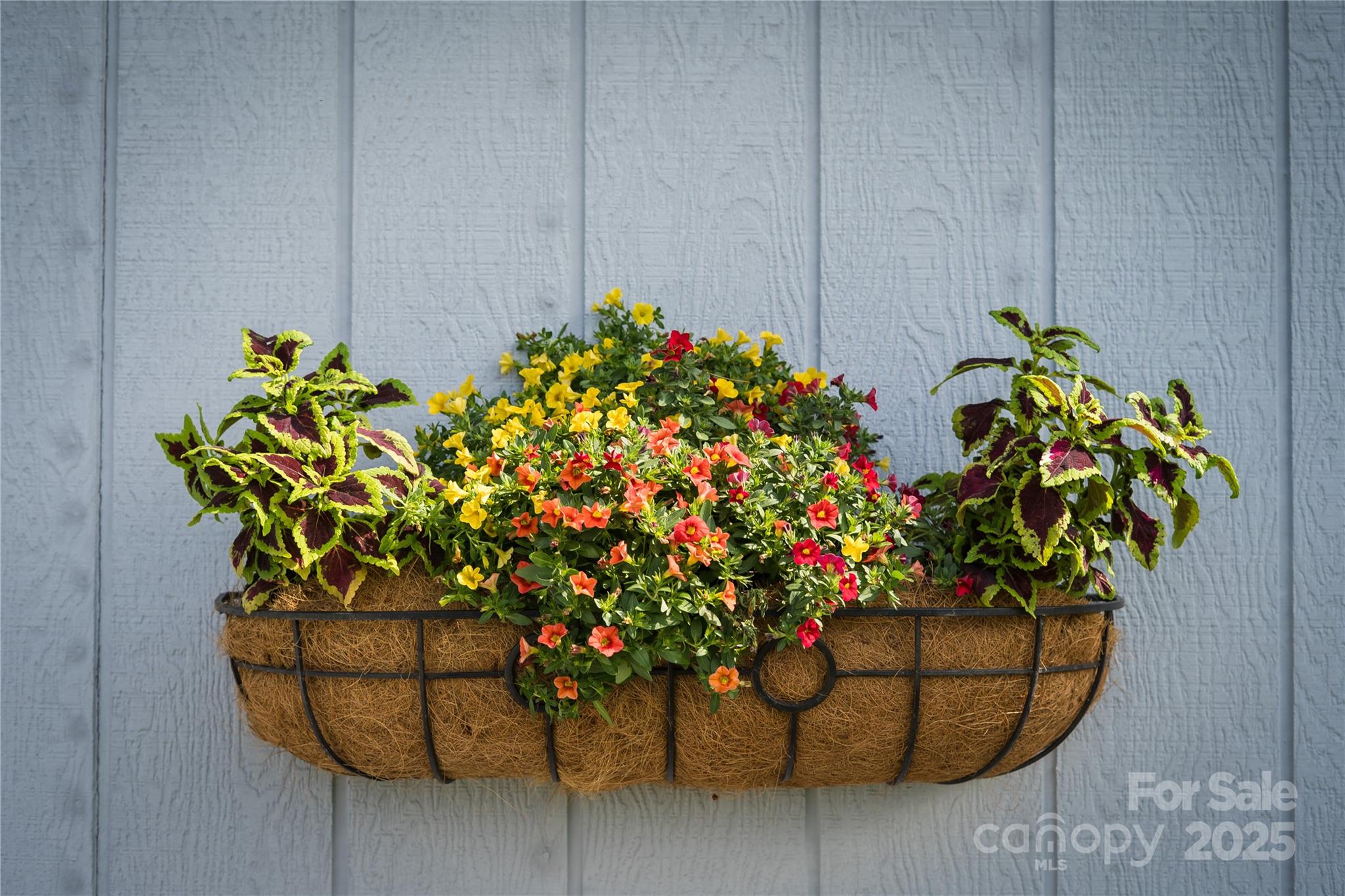 112 Melody Street Clyde, NC 28721 - Photo 5 of 47 a vase of flowers sitting on a floor