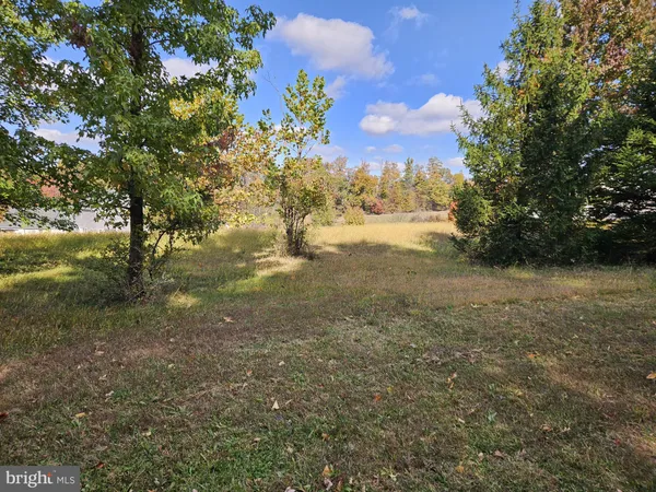 a view of a yard with a trees
