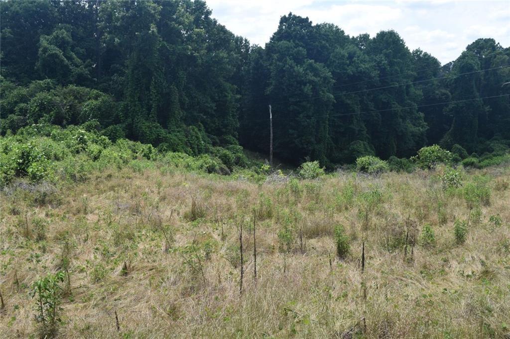 792 Lower Dowda Mill Road Jasper, GA 30143 - Photo 12 of 35