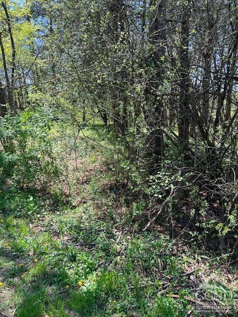 4 Catskill Court Athens, NY 12015 - Photo 2 of 12 Photo 2