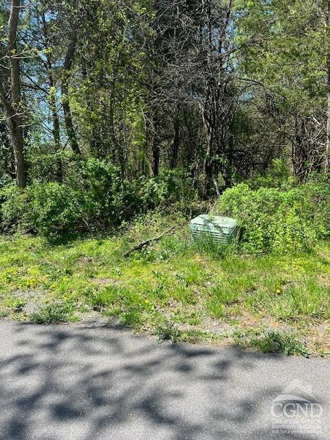 4 Catskill Court Athens, NY 12015 - Photo 4 of 12 Photo 4