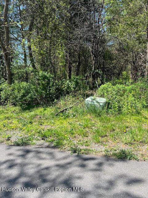 4 Catskill Court Athens, NY 12015 - Photo 5 of 12 4 catskill ct 1