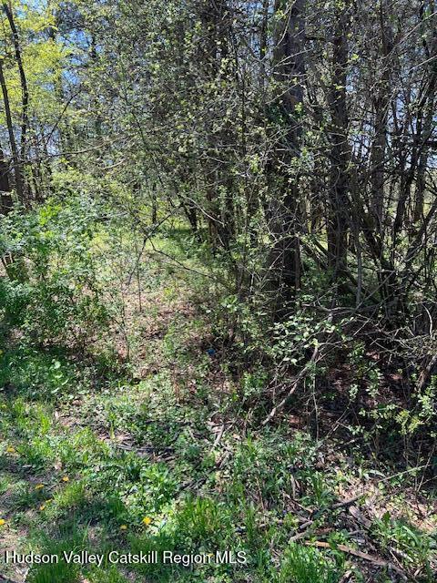 4 Catskill Court Athens, NY 12015 - Photo 6 of 12 4 catskill ct 3