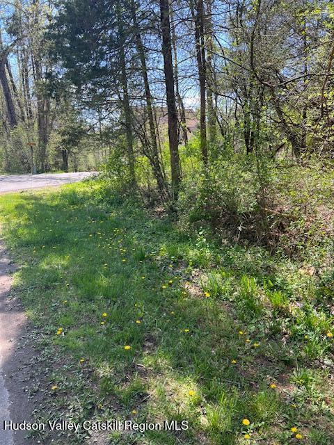 4 Catskill Court Athens, NY 12015 - Photo 7 of 12 4 catskill ct 4