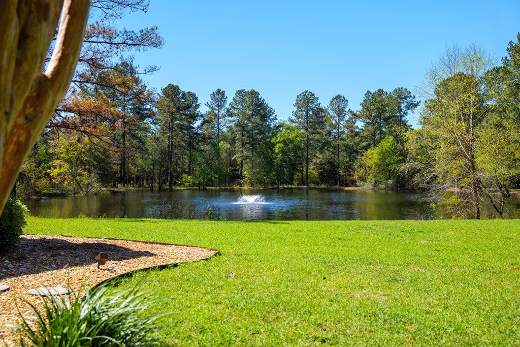 5767 Thompson Road Hahira, GA 31632 - Photo 66 of 75 Gallery Image 66