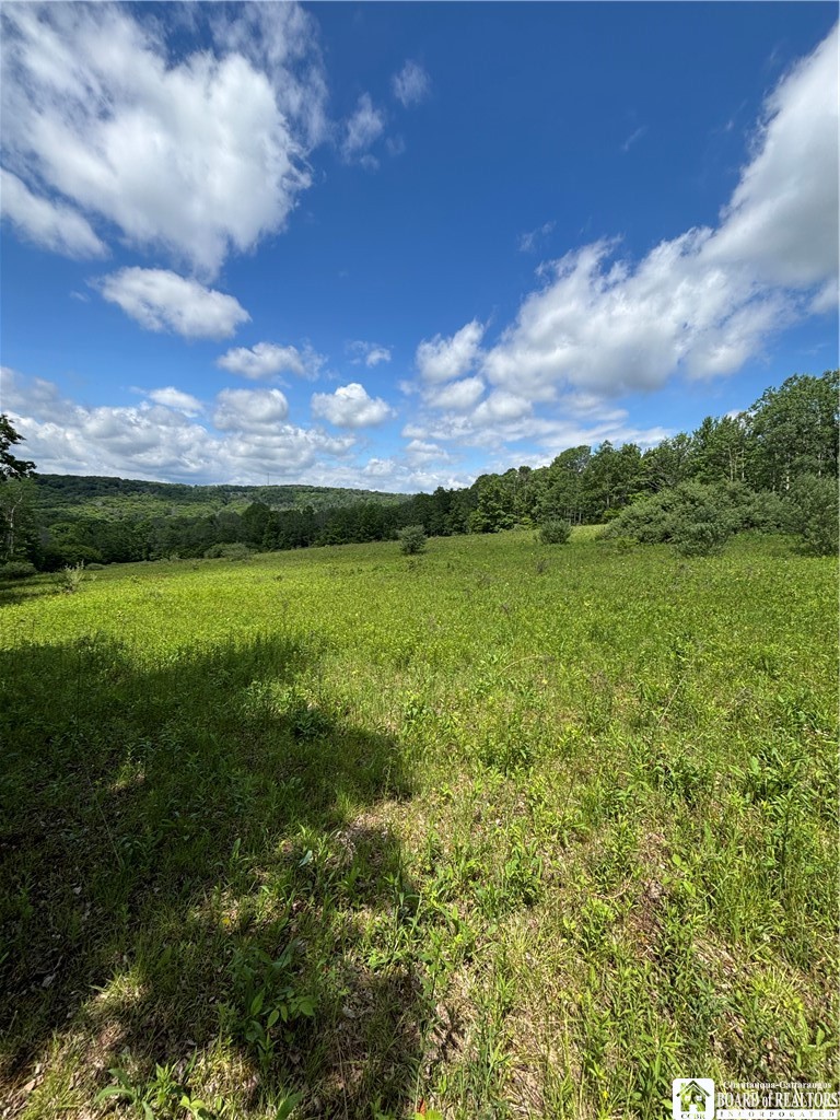 1471 Loomis Road Rexville, NY 14877 - Photo 39 of 50