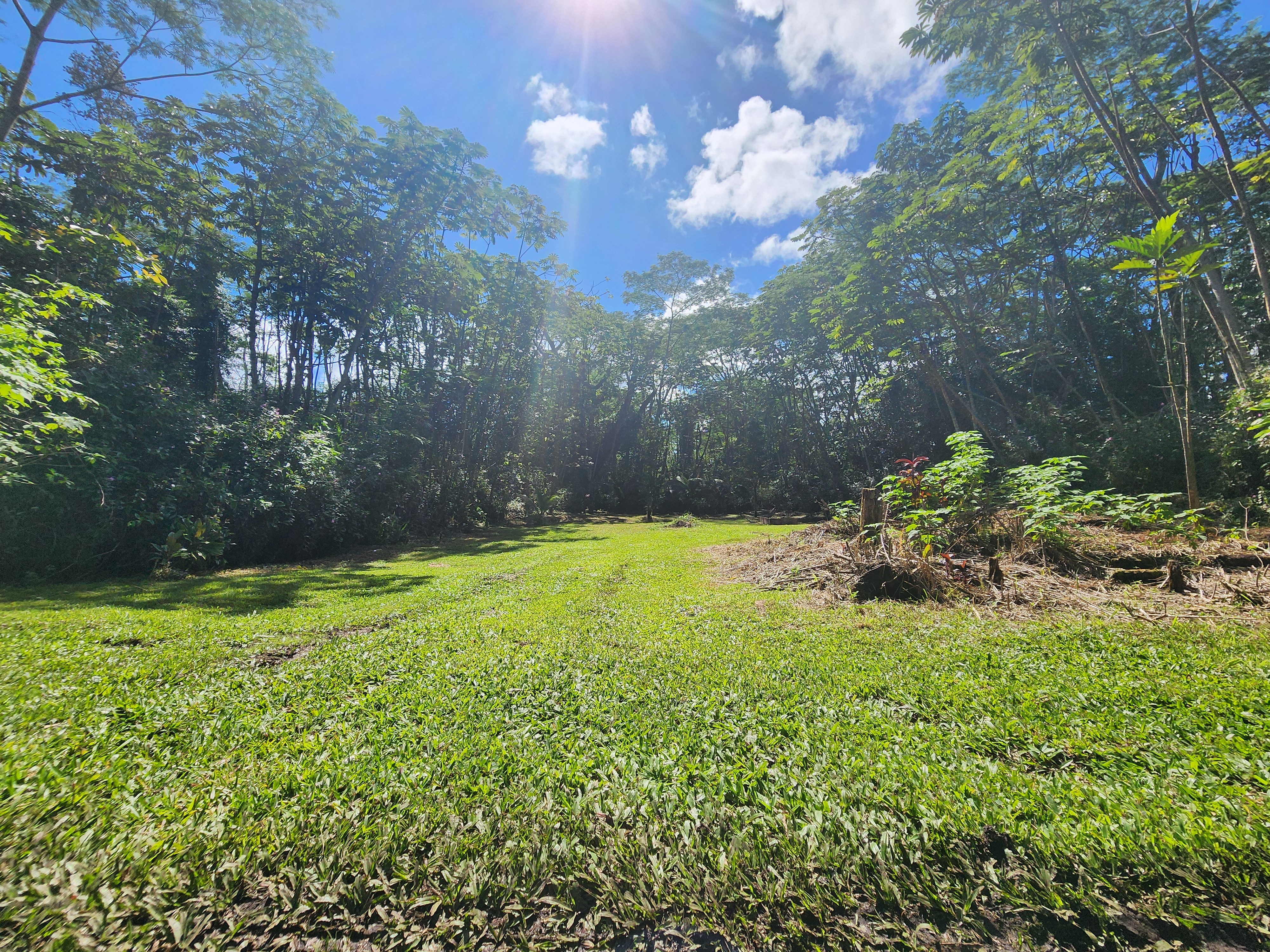 721 Hilo Road Pahoa, HI 96778 - Photo 1 of 12 Gallery Image 1