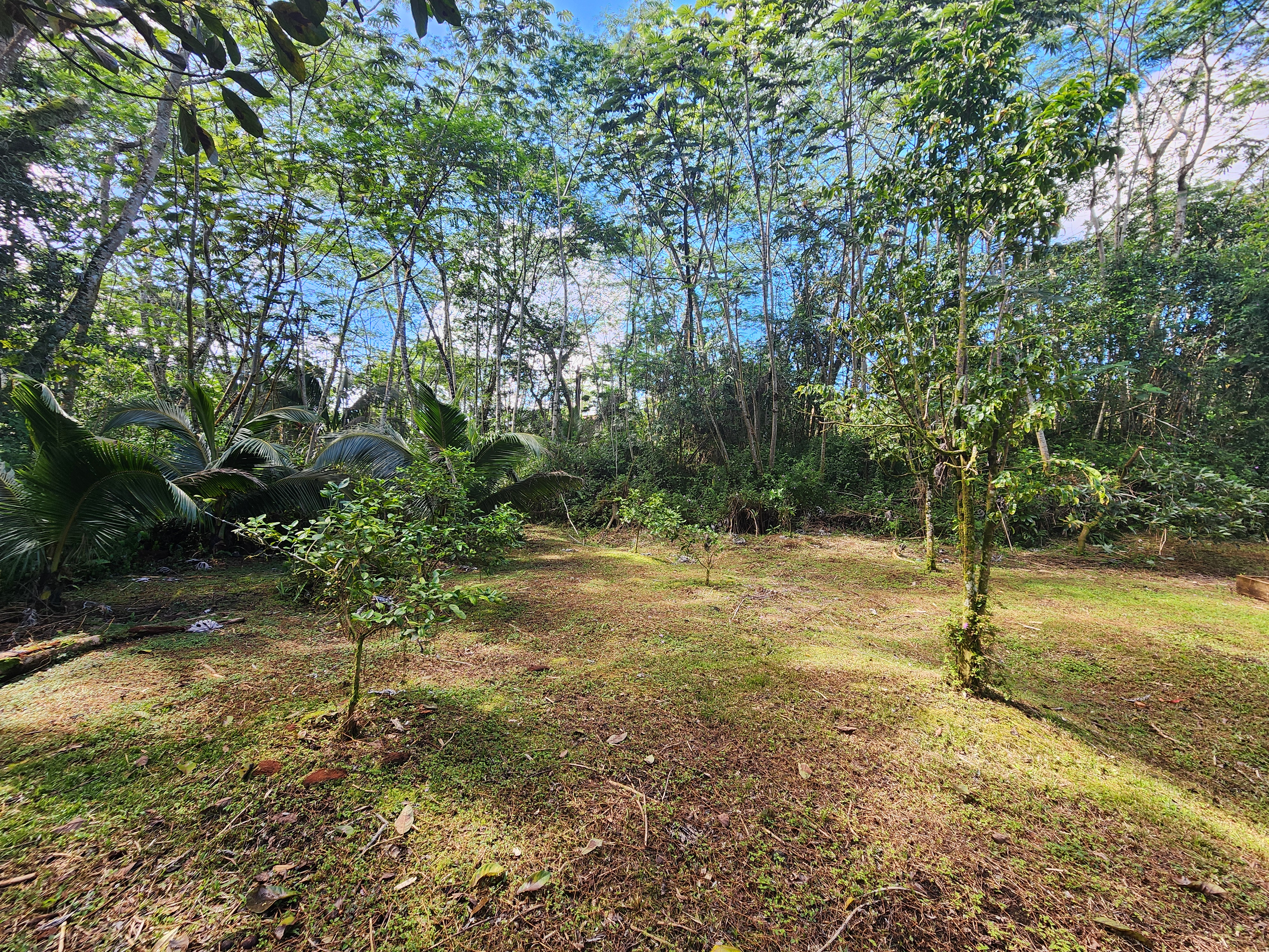 721 Hilo Road Pahoa, HI 96778 - Photo 11 of 12 Gallery Image 11