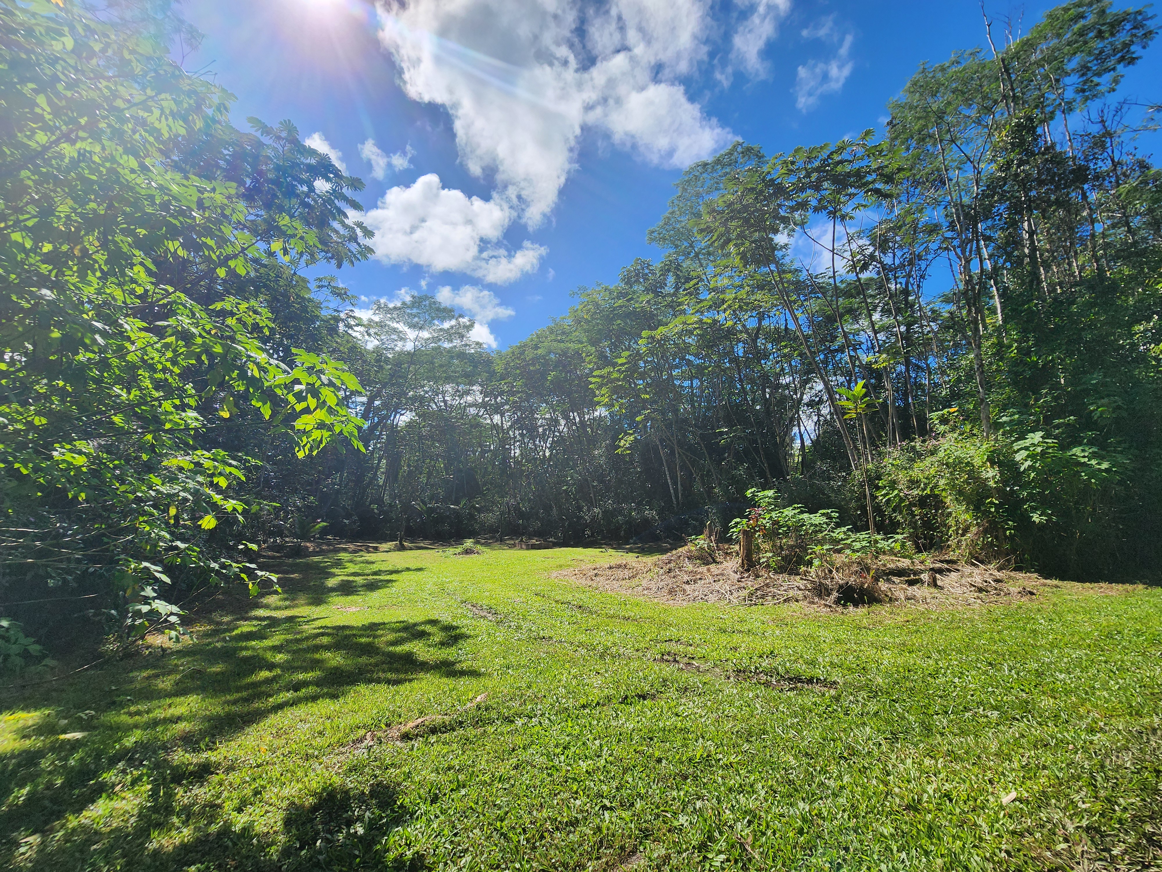 721 Hilo Road Pahoa, HI 96778 - Photo 2 of 12 Gallery Image 2