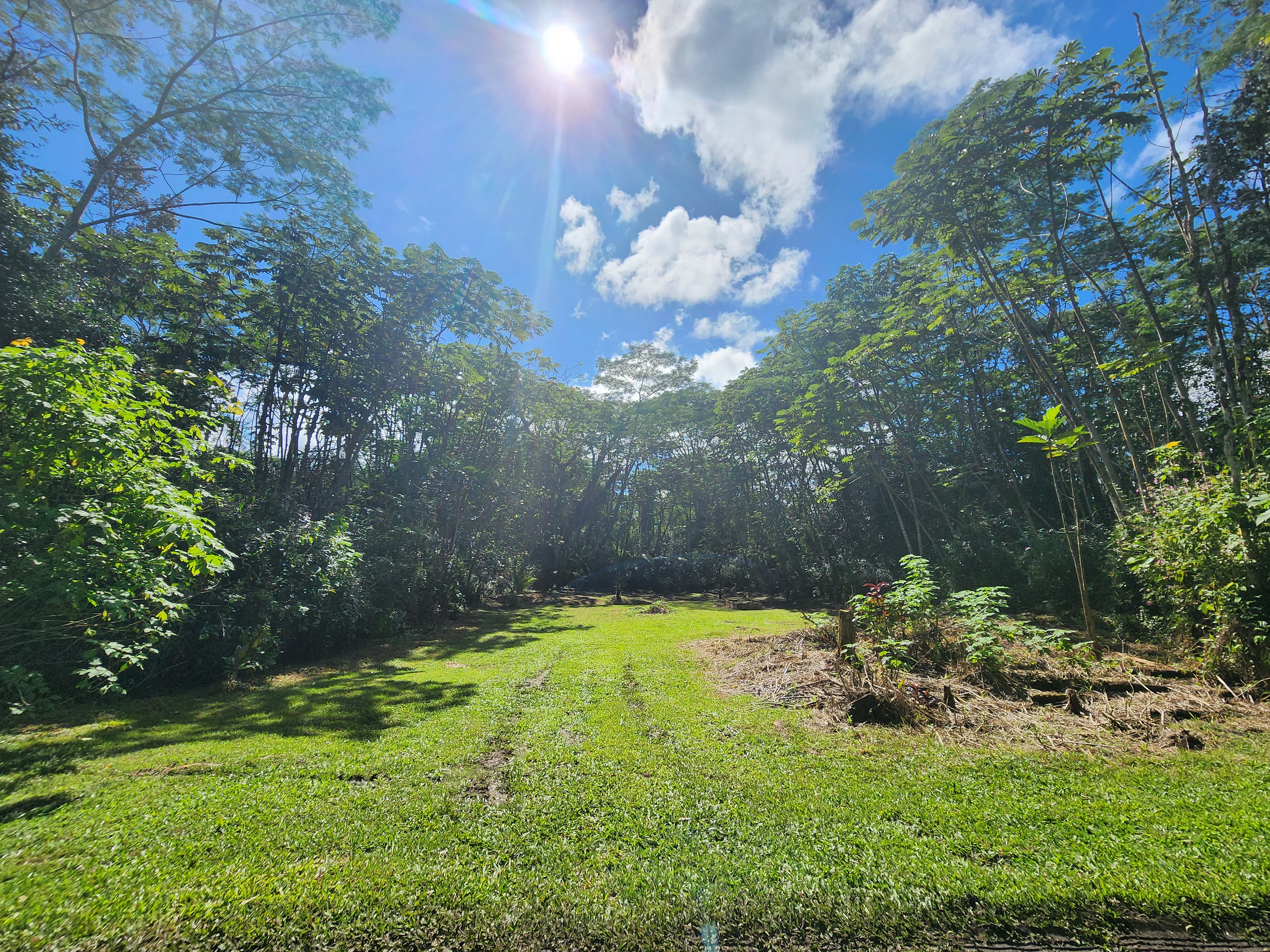 721 Hilo Road Pahoa, HI 96778 - Photo 3 of 12 Gallery Image 3
