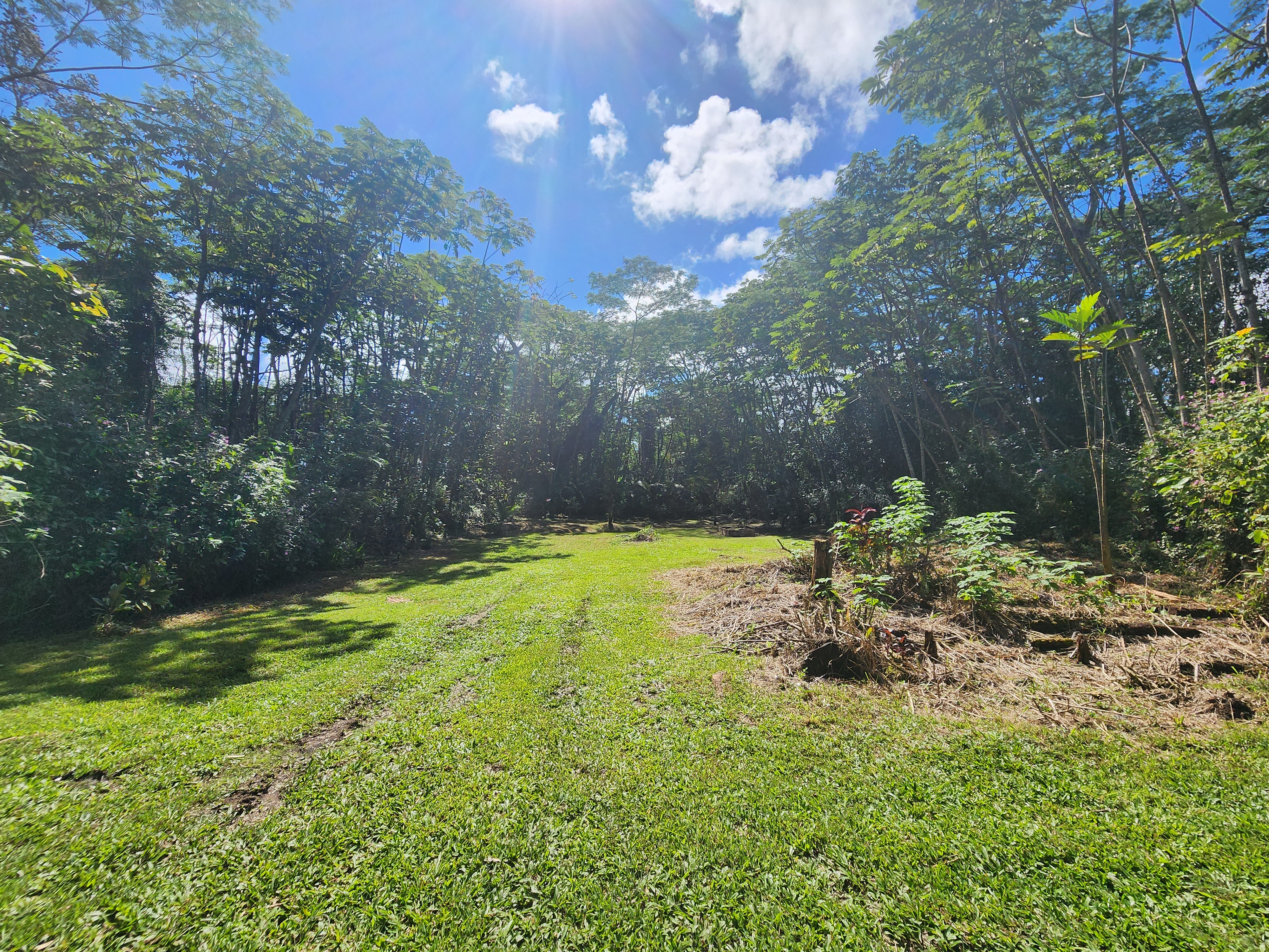 721 Hilo Road Pahoa, HI 96778 - Photo 5 of 12 Gallery Image 5