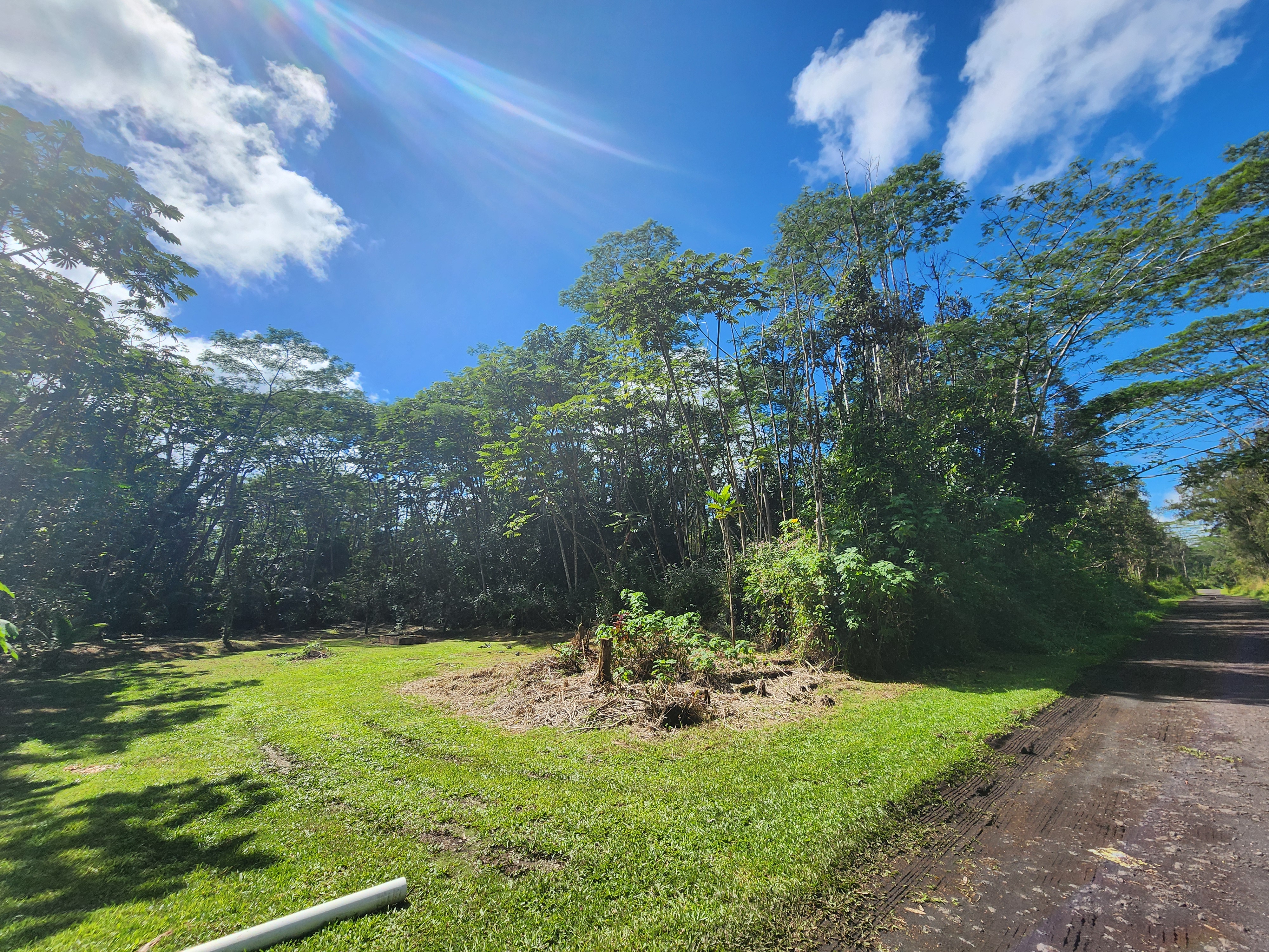 721 Hilo Road Pahoa, HI 96778 - Photo 6 of 12 Gallery Image 6